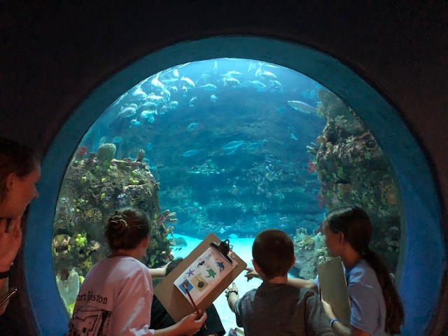 three youths look into a fish tank from below with an adult standing to the left